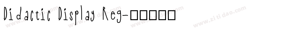 Didactic Display Reg字体转换